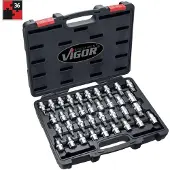Vigor V2496, 36 Stück(e), Torx