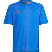 Adidas Reversible 24 Trikot 176 ROYBLU/TEPORE