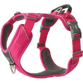 Dog Copenhagen Comfort Walk Pro Geschirr Wild Rose L