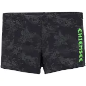 Chiemsee Boxer-Badehose mit Print