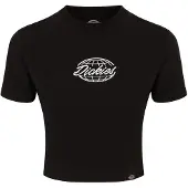 Dickies Globe Kurzarm-t-shirt
