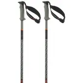 Salomon Polar Pro S3 Stöcke