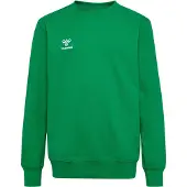 Hummel Kinder Pullover hmlGO 2.0 Kids Sweatshirt 224836-6235 164 - Jelly Bean - 164