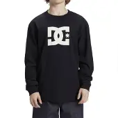Dc-shoes Langarmshirt "DC Star Hls", Herren, Gr. XL, schwarz, Obermaterial: 75% Baumwolle, 25% Baumwolle., Shirts Langarmshirt