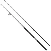 Abu Garcia Beast Pike Spinnrute