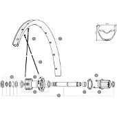 Mavic Crossride Light 29 2016-17 Hintere Rechte Speichen 12 Einheiten