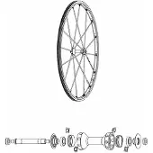 Mavic R-sys Front Speichen 9 Einheiten