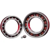 Zipp 61903 Ceramic Lager