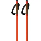 Fischer Storm Gtx L Stöcke