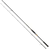 Daiwa Morethan Branzino Expert Ags Spinnrute