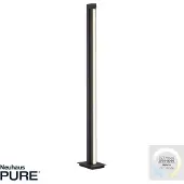 Pure LED-Stehlampe Lines Floor, graphite, 140 cm, CCT, dim.