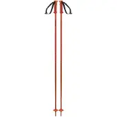 Salomon Polar Stöcke