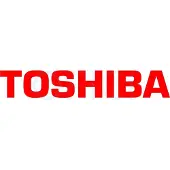 Toshiba 6AJ00000249, 17500 Seiten, Schwarz, 1 Stück(e)