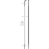 Sapim Cx-ray Inox J-bend Speichen 4 Einheiten