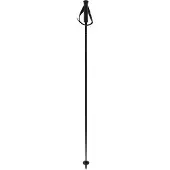 Völkl Speedstick Carbon Poles carbon 130