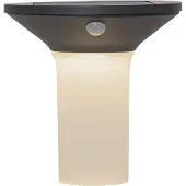 Star Trading LED-Solarwandleuchte Valta mit Bewegungssensor