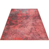 Wecon Home Teppich "Pepe", rechteckig, 6 mm Höhe, Wohnzimmer