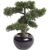 Botanic-Haus Kunstbonsai "Ceder Bonsai", grün, B:32cm H:34cm T:32cm Ø:32cm, Kunststoff, Kunstpflanzen, Kunstbonsai