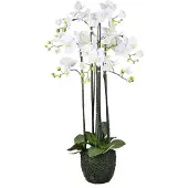 Creativ Green Kunstorchidee "Orchidee Phalaenopsis" im Erdballen und mit real-touch-Blüten