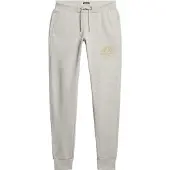 Superdry Luxe Metallic Logo Trainingshose