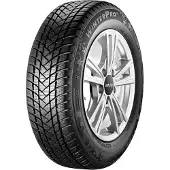 GT Radial 1x WinterPro2 Winterreifen 195/60 R16 89H M+S 3PMSF Reifen