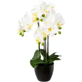 Creativ Green Kunstorchidee "Phalaenopsis im Resintopf" mit Real-Touch-Blüten