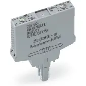 Wago 286-364/004-000 Relaismodul,Eingangsnennspannung DC 24 V,1 Schließer,grau 286364004000