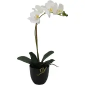 Creativ Green Kunstorchidee "Orchidee Phalaenopsis" mit täuschend echten Blüten