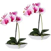 Creativ Green Kunstorchidee "Phalaenopsis", lila (weiß, lila), B:6,5cm H:30cm L:19,5cm, Kunststoff, Kunstpflanzen, Kunstorchidee, 2er Set, in Kunststoffschale