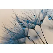 Papermoon Fototapete "Abstract Dandelions", bunt, B:3,5m L:2,6m, Vlies, Tapeten, Fototapete