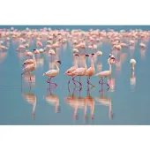 Papermoon Fototapete "Flamingos", bunt, B:2,5m L:1,86m, Vlies, Tapeten, Fototapete