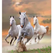 Papermoon Fototapete "White Stallions in Dust", bunt, B:2,5m L:1,86m, Vlies, Tapeten, Fototapete