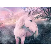 Papermoon Fototapete "Unicorn", bunt, B:3,5m L:2,6m, Vlies, Tapeten, Fototapete