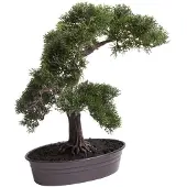 Botanic-Haus Kunstbonsai "Cedern Bonsai", grün (dunkelgün), B:37cm H:42cm T:37cm Ø:37cm, Kunststoff, Kunstpflanzen, Kunstbonsai