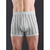 Witt Schlüpfer "Hose kurz Hose kurz 2 Stück", Herren, Gr. 10, 2 Stk., Feinripp, grau (hellgrau, gestreift), Feinripp, , Unterhosen Schlüpfer