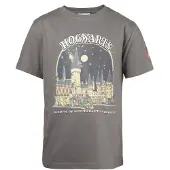 LEGO Harry Potter T-Shirt - Grau