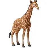 Collecta Giraffenfigur Braun 3-6 Years Braun 3-6 Years