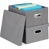 Relaxdays Aufbewahrungsbox 2er Set, faltbare Ordnungsbox mit Deckel, 25 Liter je Stoffbox, HBT 20,5 x 34,5 x 42 cm, grau