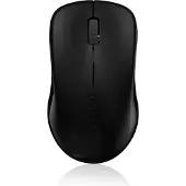 Rapoo 1620, RF Wireless, Optisch, Büro, Schwarz, Ambidextrös, USB