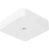 Fischer Sicherheitsleuchte SLM-D31USC EB 1/3/8h 1W IP20