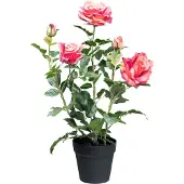 Creativ Green Kunstblume "Rosenbusch", pink, H:58cm, Kunstpflanzen, Kunstblume, mit 3 Blüten und 2 Knospen