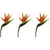 Creativ Green Kunstblume "Strelitzie"