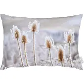 Apelt Dekokissen "5882" Gr. 1, grau (grau, natur, bedruckt), B:35cm H:5cm L:45cm, Baumwolle, Polyester, Dekokissen_Sitzkissen_Kissenhüllen, Dekokissen
