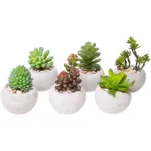 Botanic-Haus Kunstkaktus "Sukkulenten", grün, B:7cm H:10cm T:7cm Ø:7cm, Kunststoff, Kunstpflanzen, Kunstkaktus