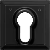 Legrand 765334 SEANO Abdeckung Jalousietaster mit DIN-Halbzylinder, Farbe: Schwarz lackiert