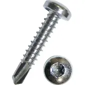 SCHMIDT'S Onlineshop Bohrschraube Linsenkopf mit Torx verzinkt - 4,8 x 22 / 0,29 / 9,5