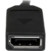 StarTech.com Dms-59-auf-dual-displayport-kabel 20 Cm