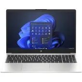 HP 250 G10 Intel Prozessor N100 Notebook - Notebook - Celeron