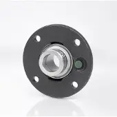 Skf Y-Flanschlagereinheit FYC25TF