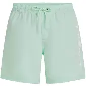 O'Neill Cali 16'' Swimshorts mildrew mint (16050) XS
